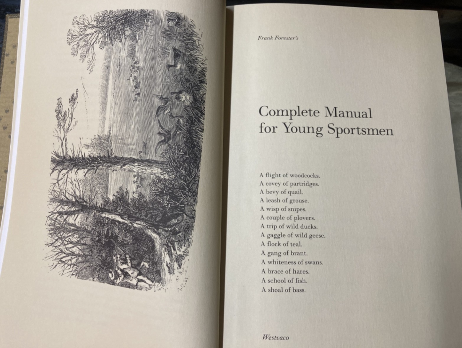 Complete Manual For Young Sportsmen view 1