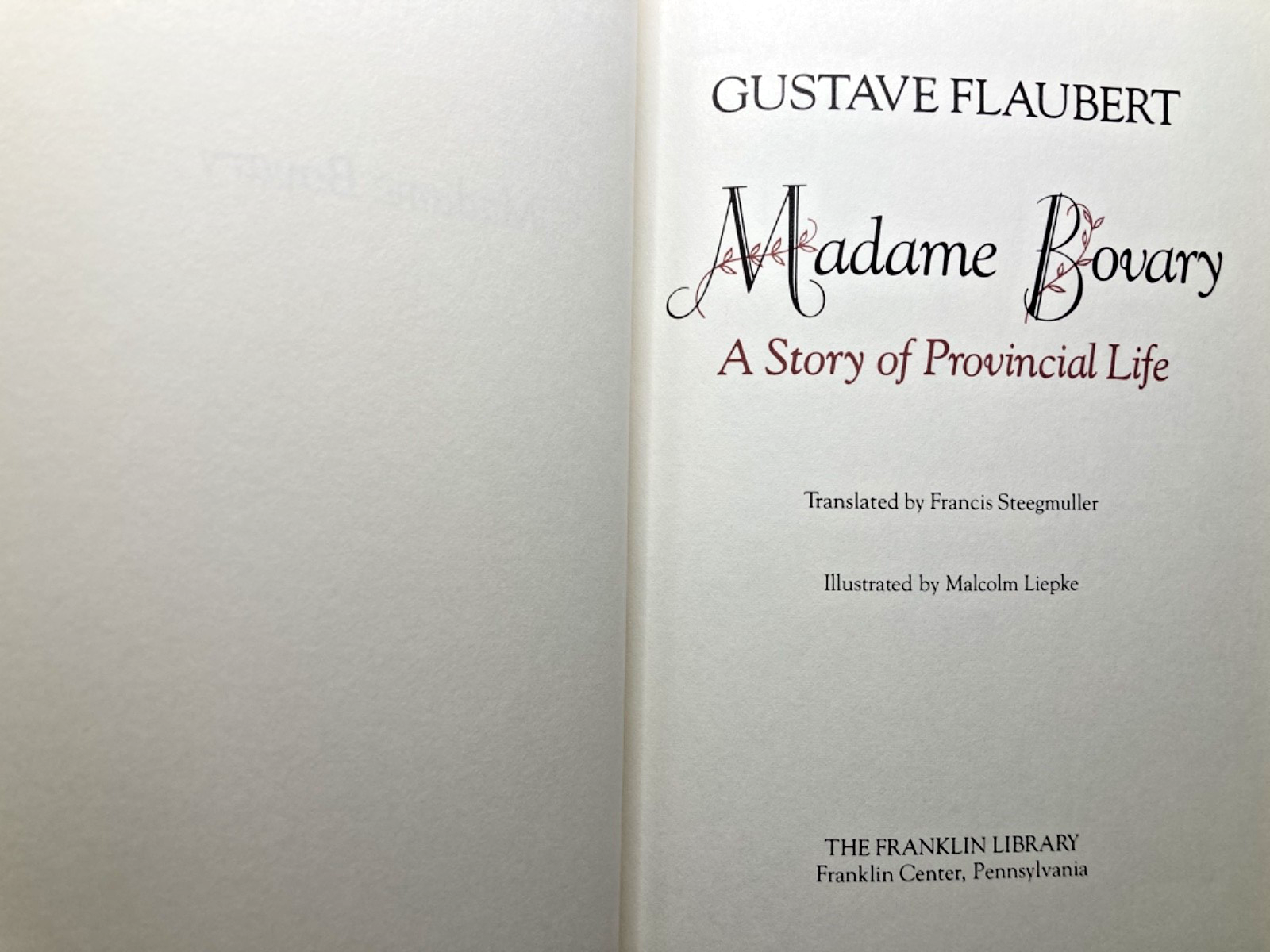 Madame Bovary view 1
