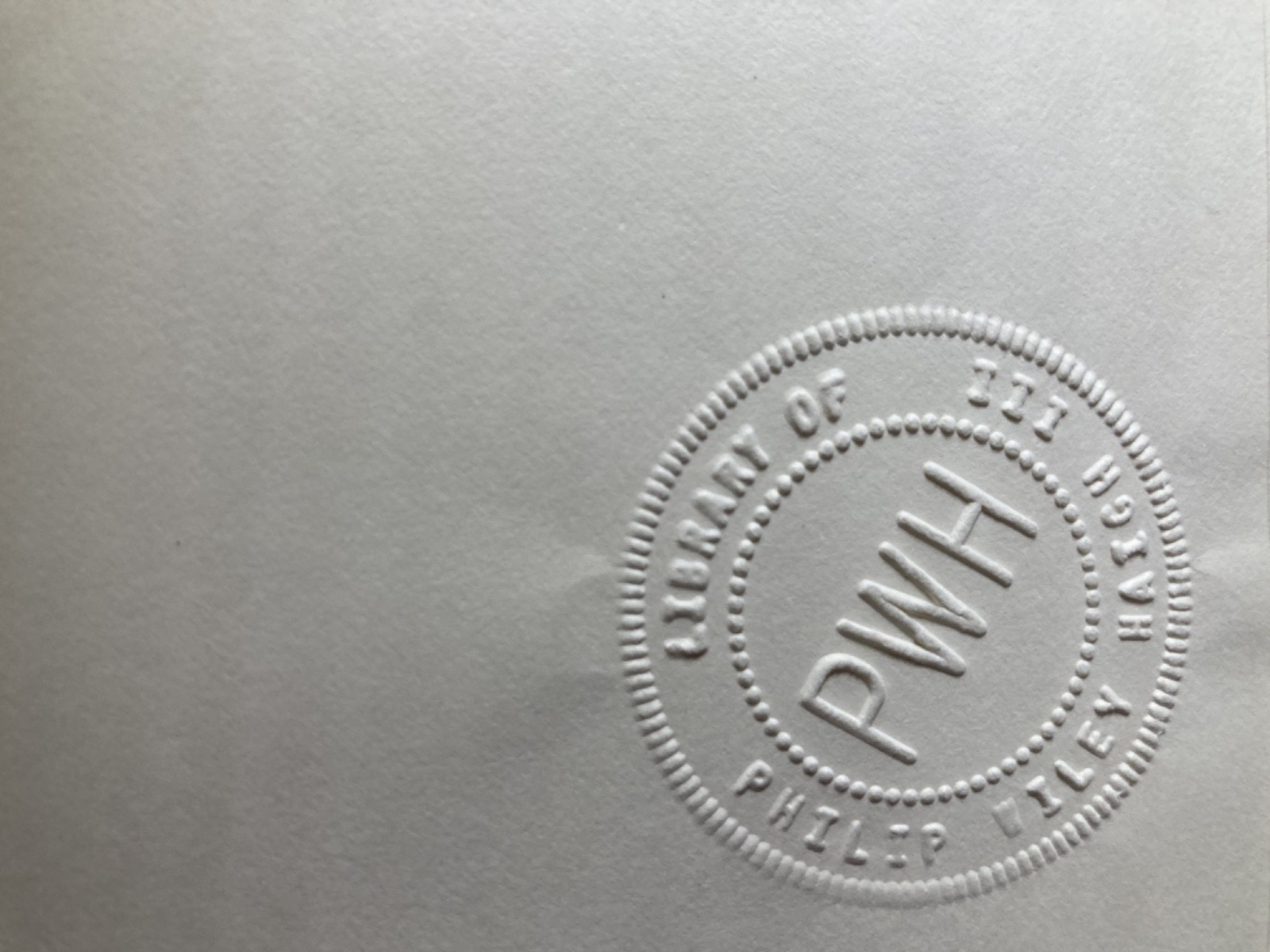 The Ambassadors view 2