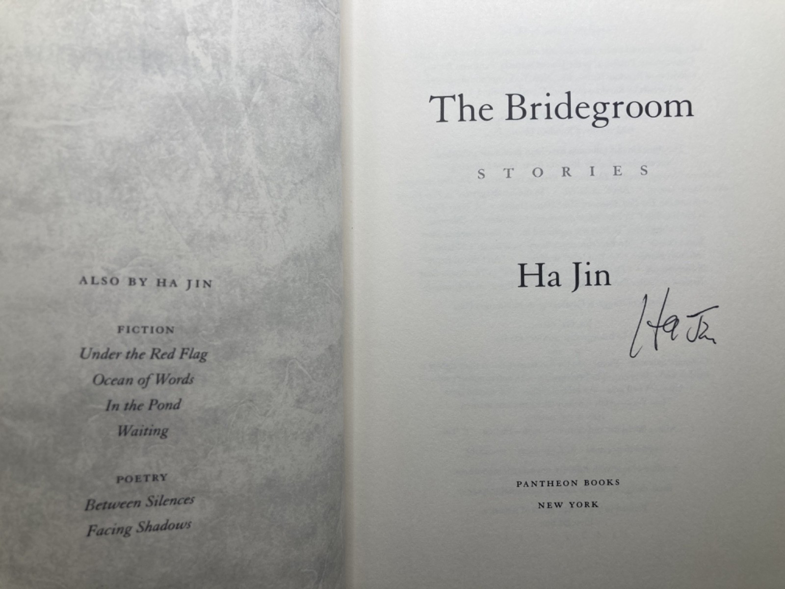 The Bridegroom - Stories view 2