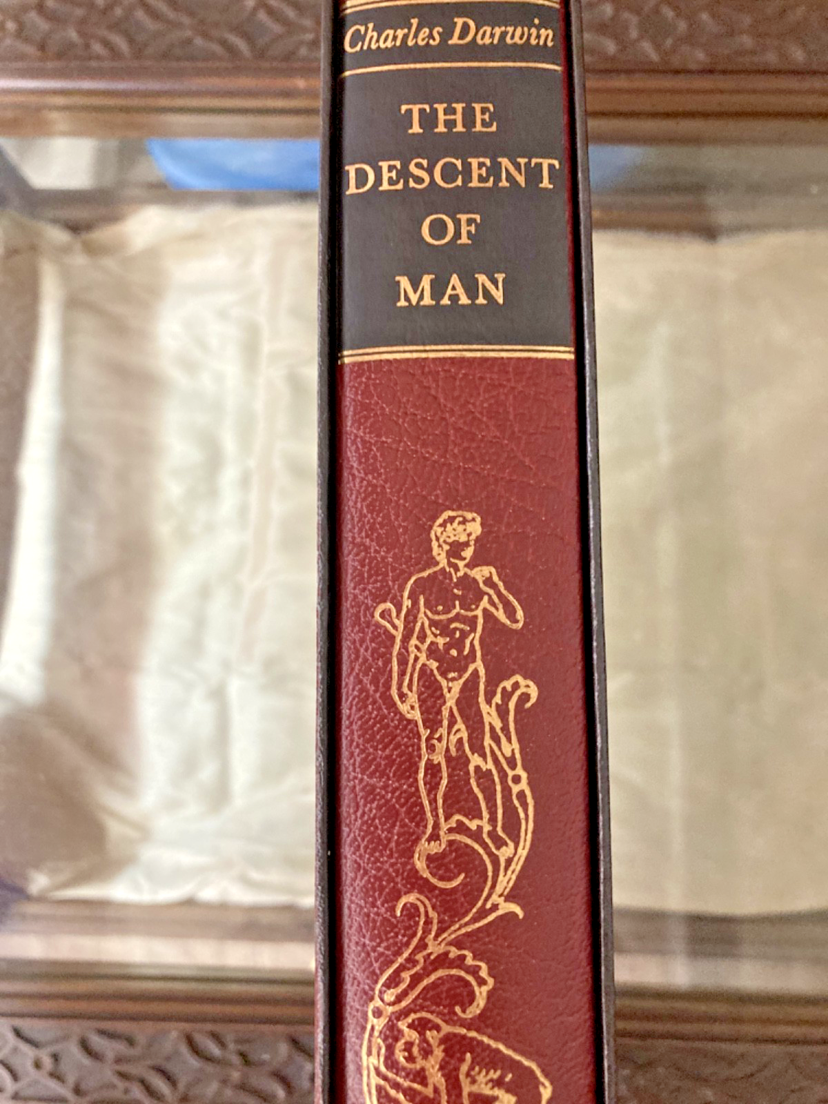 The Descent of Man