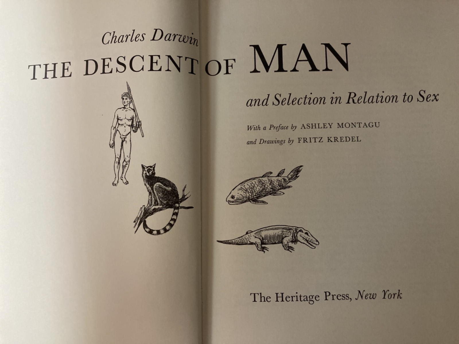 The Descent of Man view 8