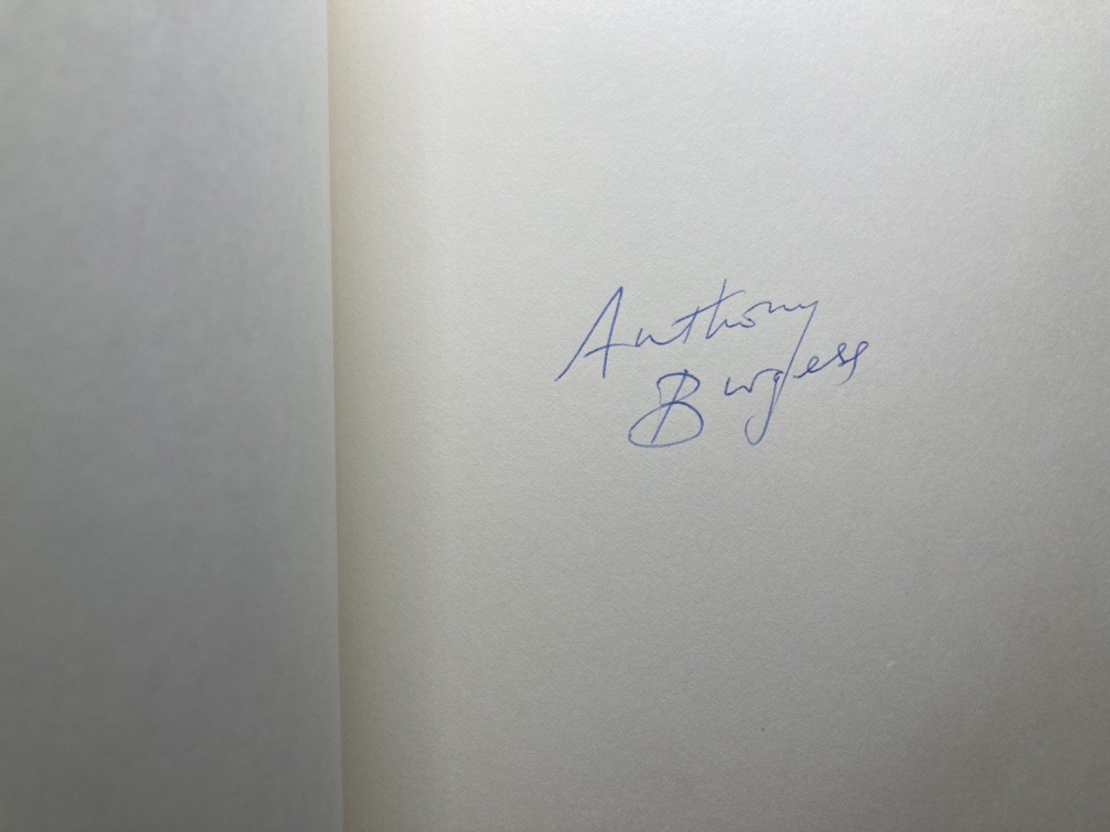 The Kingdom of the Wicked view 3