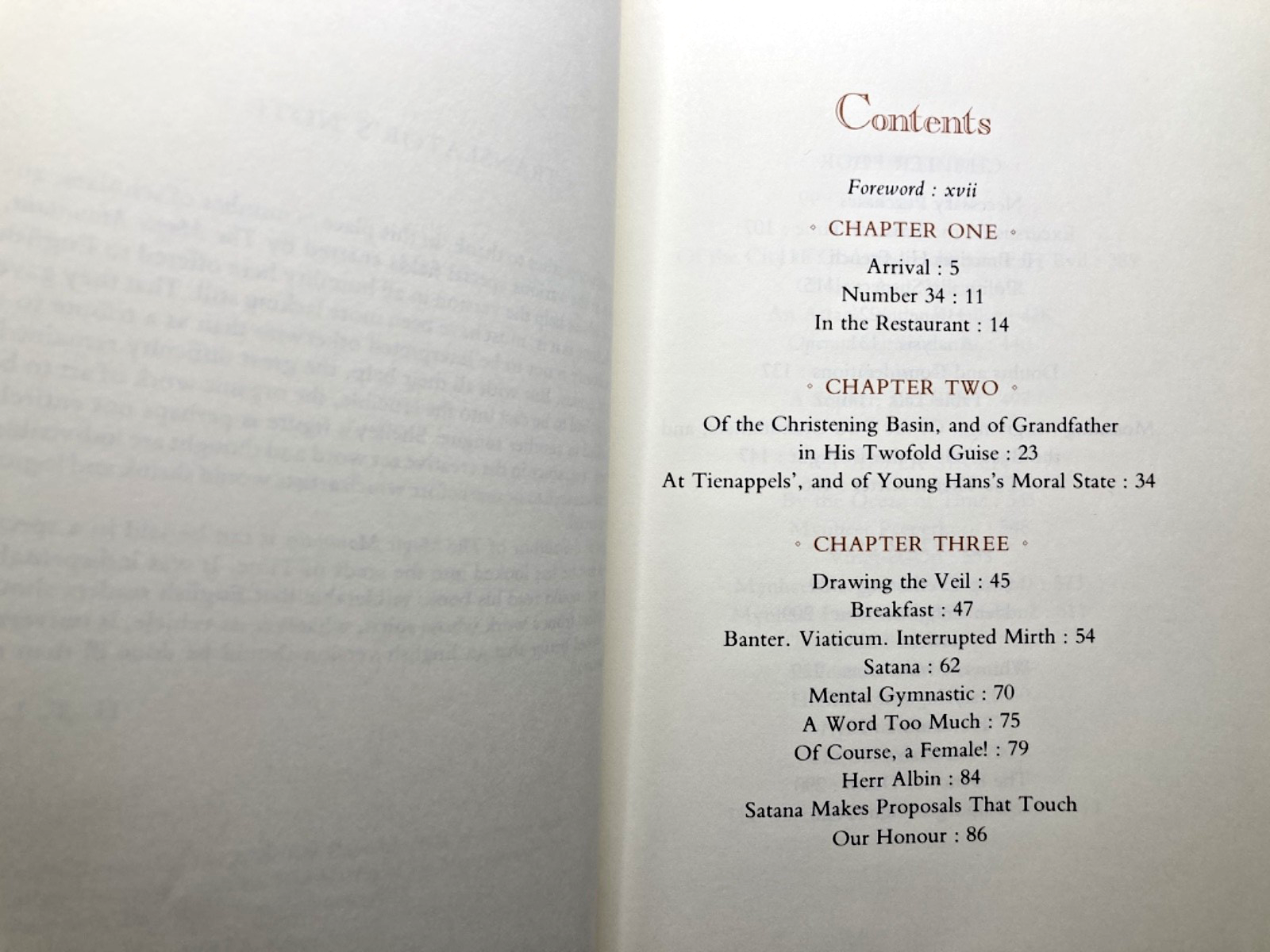 The Magic Mountain view 2