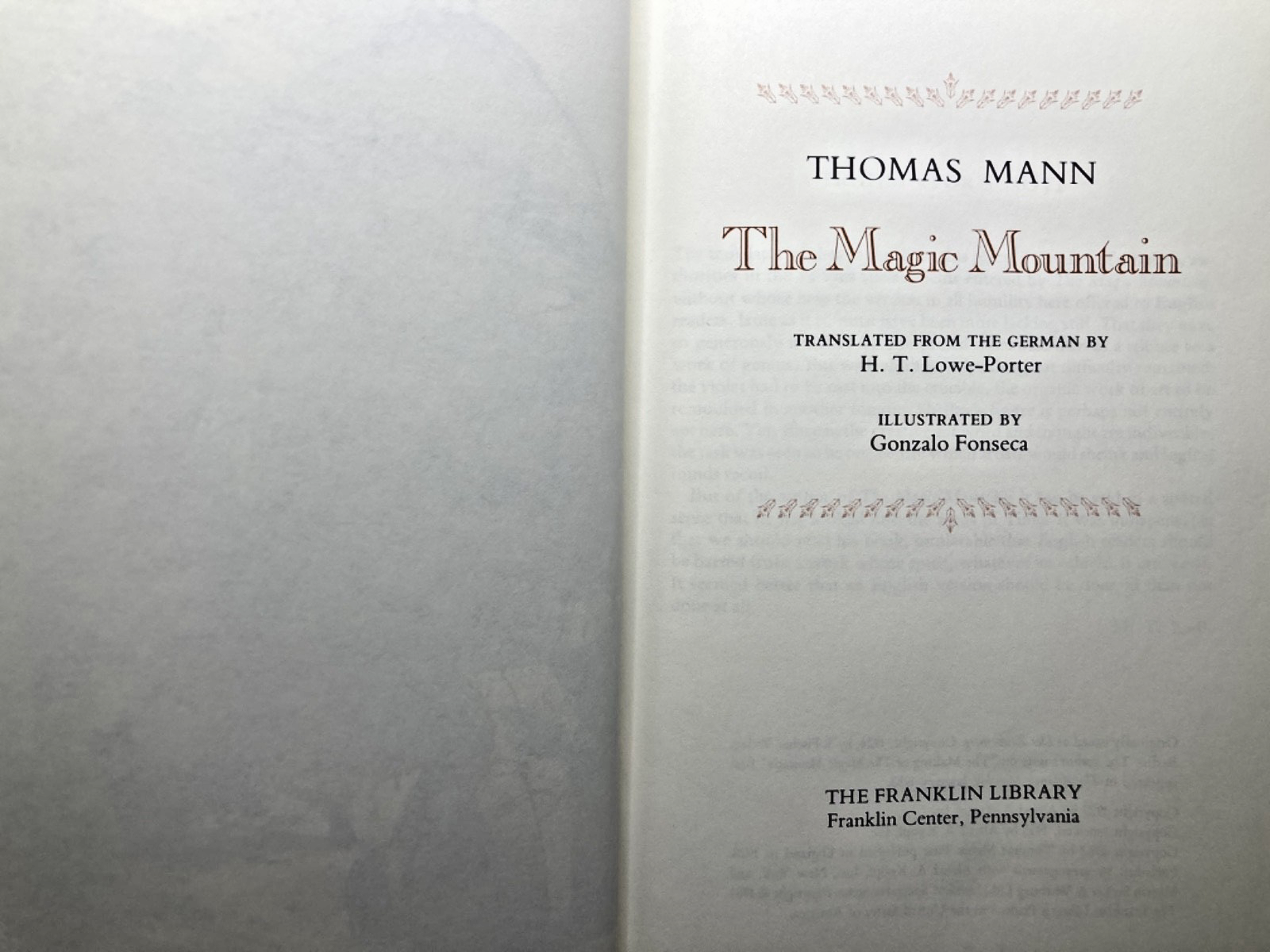 The Magic Mountain view 1