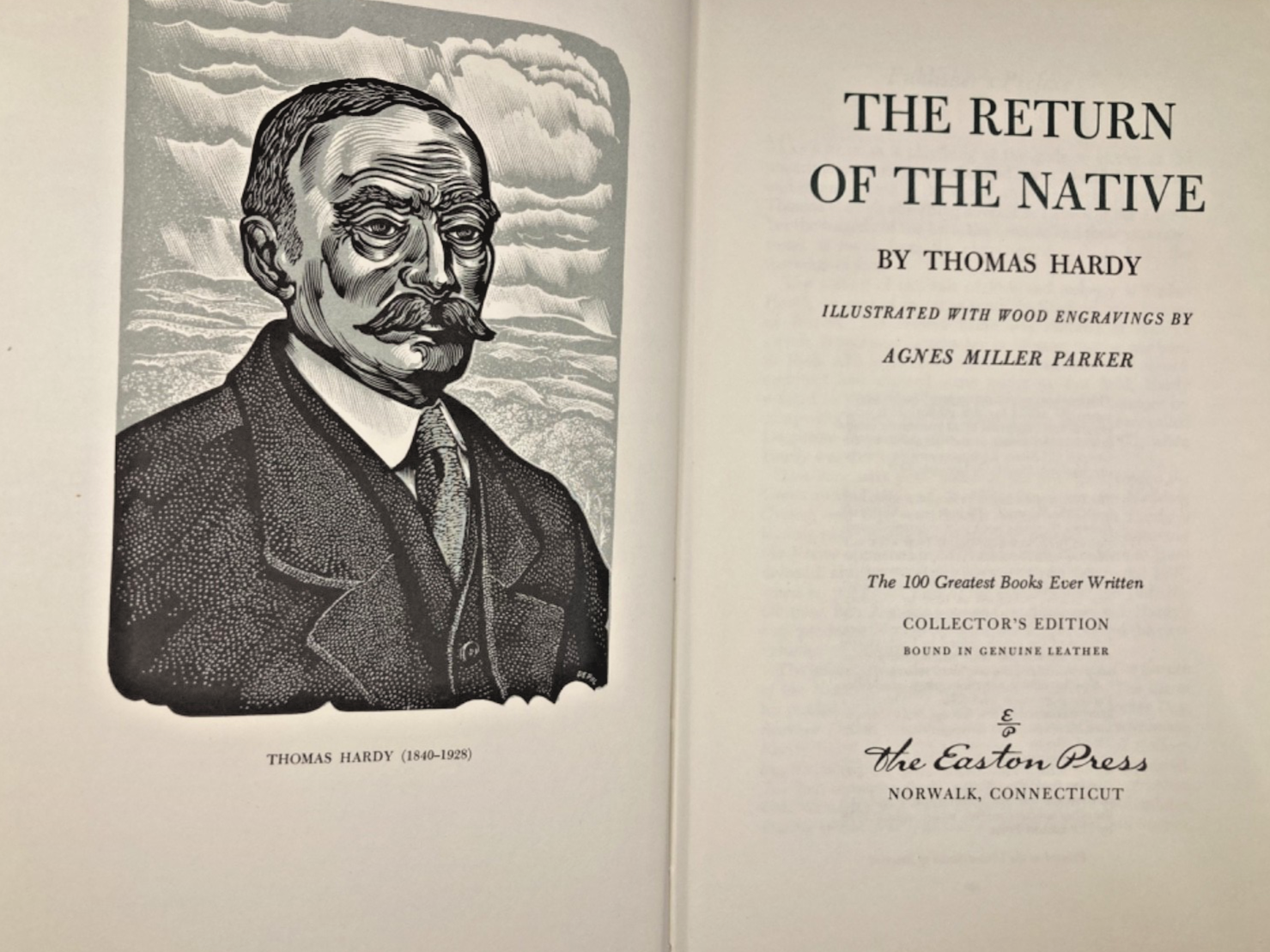 The Return of the Native view 1